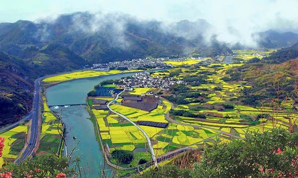 如何準(zhǔn)確理解把握鄉(xiāng)村建設(shè)行動路線圖？